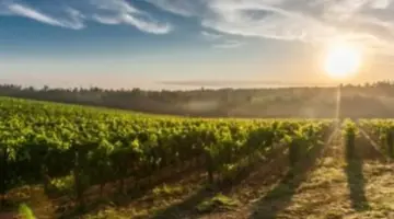 دليل المواطن لمواعيد الشروق والعمل بعد تغيير الساعة القانونية في جمهورية مصر